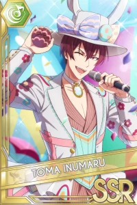 SPRING FESTIVAL !!!!