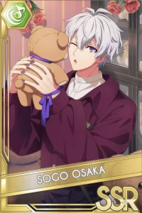 My Sweet Teddy